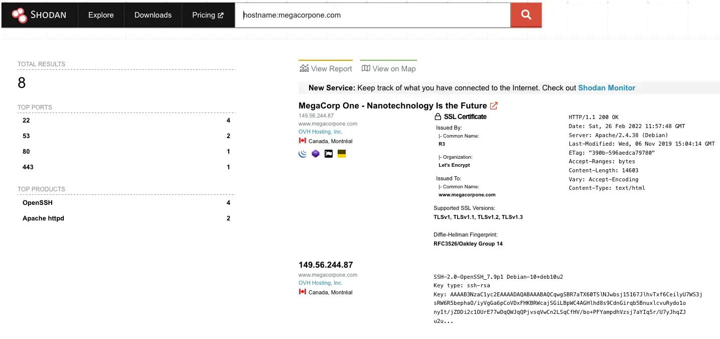 Searching-MegaCorp-Ones-domain-with-Shodan