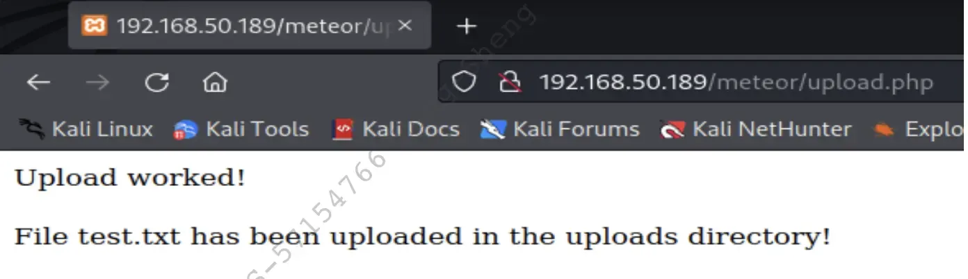 Successful-Upload-of-test.txt