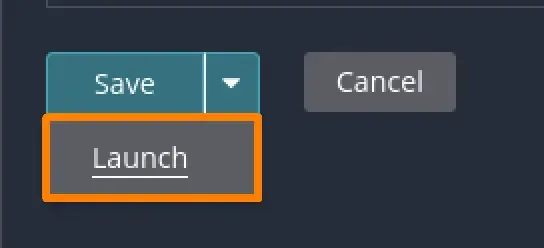 launch-scan