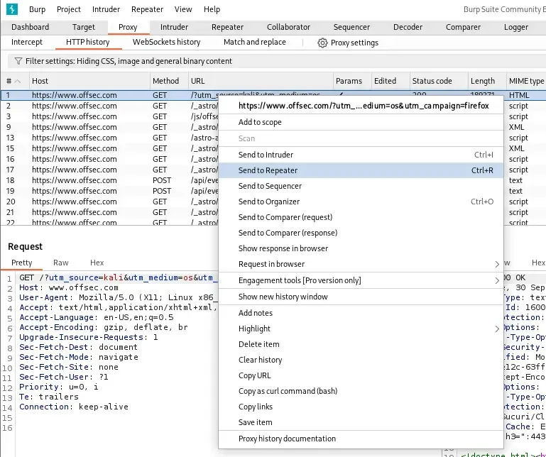 sending-request-to-repeater